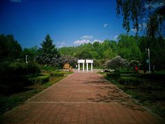 -黑龙江省森林植物园