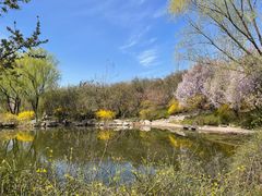 -石家庄市植物园