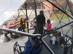 -菲住布渴全日制餐厅·简餐·下午茶·蛋糕