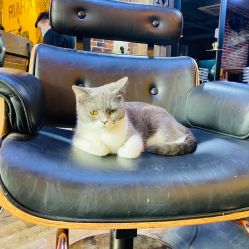 -青木造型HAIR·あおき髪を刈る潮人店