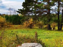 -北极村旅游风景区