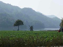 -广州市石门国家森林公园