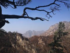 -大连天门山国家森林公园
