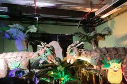 -恐龙探索乐园(磁器口店)