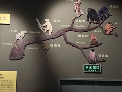 -辽宁古生物博物馆