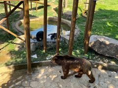 -无锡海洋馆