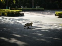 -苏州河梦清园环保主题公园