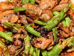 回锅肉-陈麻婆豆腐总店