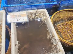 -拉完海鲜大排档(温岭店)
