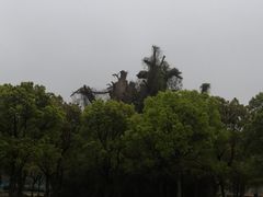 -上海月湖雕塑公园