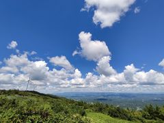 -齐岳山