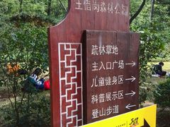 -王借岗森林公园