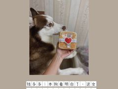 生吐司-爱丽优甜ellyelly