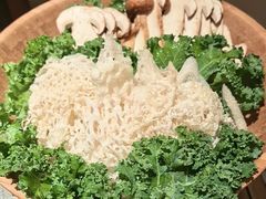 -蘑界·野生菌火锅(深业上城店)