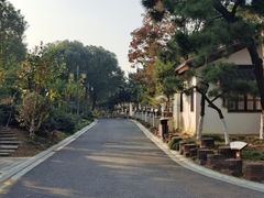 -八大山人梅湖景区