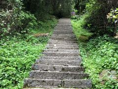 -苍山感通索道