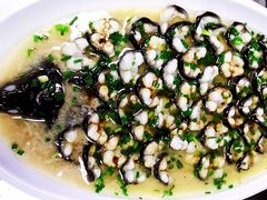 清蒸太湖河鳗-呼吸森林·生态农庄农家乐私房菜