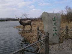 -溱湖国家湿地公园