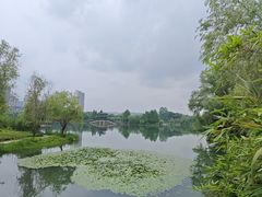-洋湖国家湿地公园