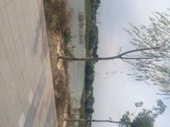 伊犁河风景区-伊犁河风景区