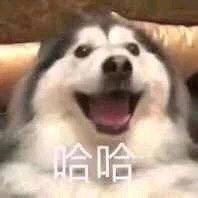 -Miette制菓所