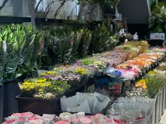 -溪岸路花鸟市场