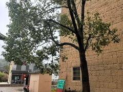 -福建土楼(南靖)景区
