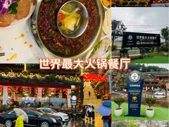 -枇杷园食为鲜火锅(南山店)