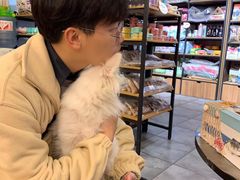 -小呆的宠物店·宠物售卖·宠物寄养(城西店)