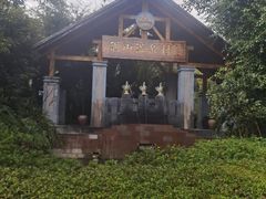 -腾冲洞山温泉村