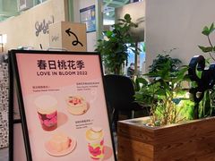 -Seesaw Coffee(上海太阳宫K46店)