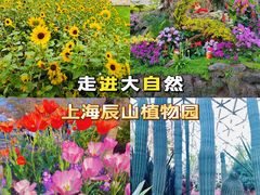 -上海辰山植物园