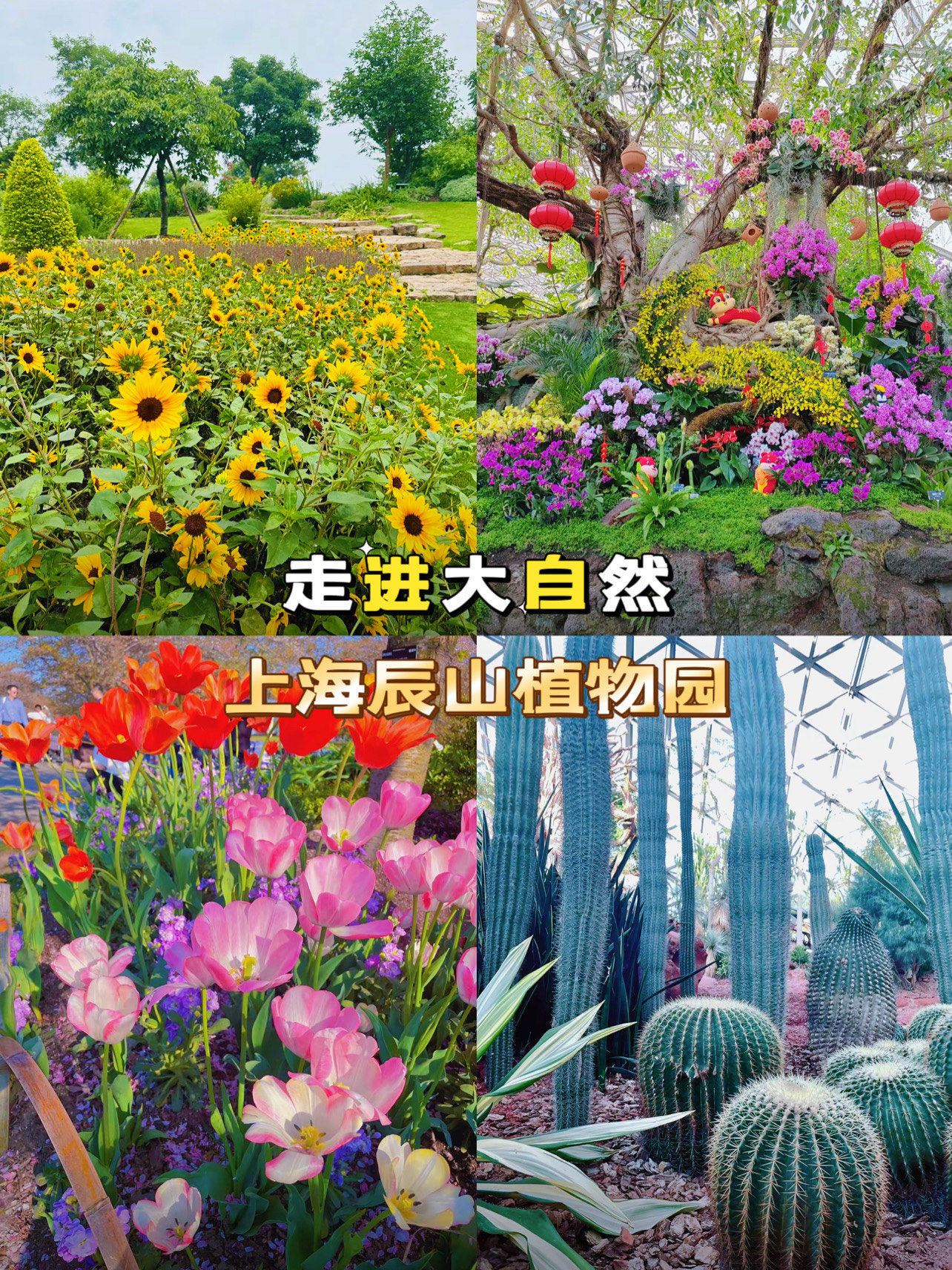 73走进大自然 | 上海辰山植物园