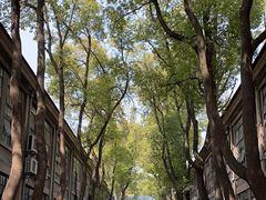 -南京晨光1865创意产业园