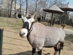 -大连森林动物园