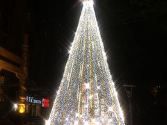 -刘胖子家常菜·蹄花焖藕(中南店)