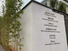 -火炉山森林公园