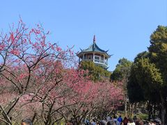 -无锡梅园公园