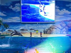 -福州罗源湾海洋世界旅游区