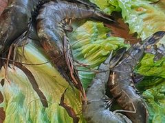 -乌拉烤肉(如皋首店)