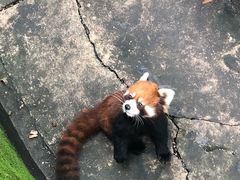 -昆明动物园