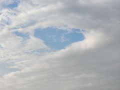 -福道
