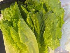 -正能量脆肉鲩火锅