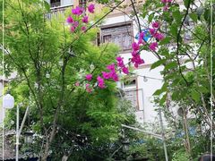 -喜味家·瑶族宴
