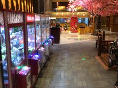 -大江户·温泉洗浴(浑南店)