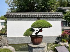 -水绘园