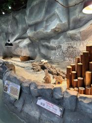 -Zoolung Zoolung动物主题公园(海信广场店)