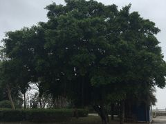 -北海市海滨公园