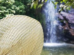 -百里鲜(羚羊峡古栈道森林公园店)