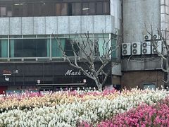 -上海鲁迅故居